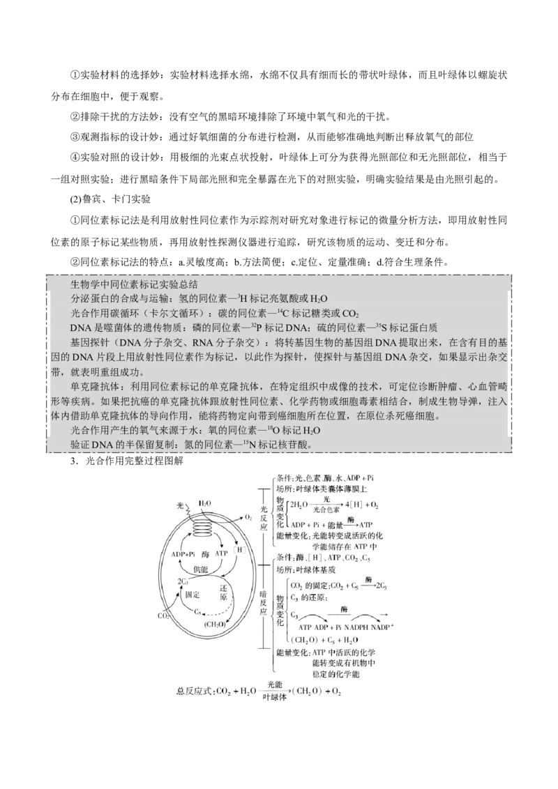 GKSW150_第9讲光合作用-备战2022年高考生物一轮复习精品讲义（人教版）(解析版)_新高考复习资料_2022年新高考复习资料_备战2022新高考生物一轮复习精品讲义（人教版）