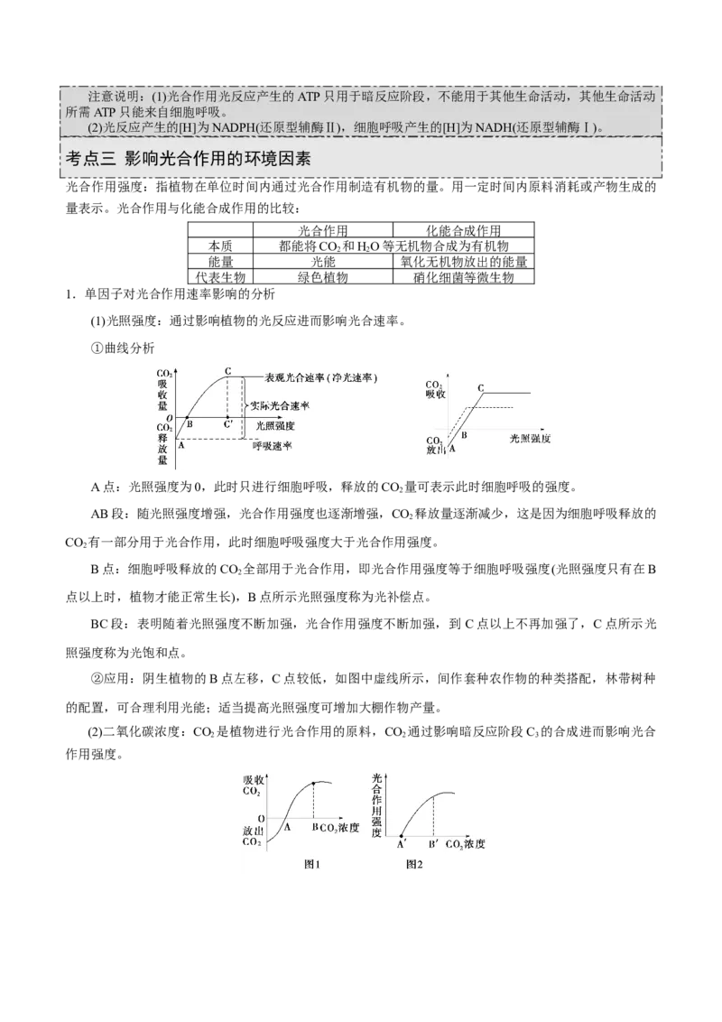 GKSW150_第9讲光合作用-备战2022年高考生物一轮复习精品讲义（人教版）(解析版)_新高考复习资料_2022年新高考复习资料_备战2022新高考生物一轮复习精品讲义（人教版）