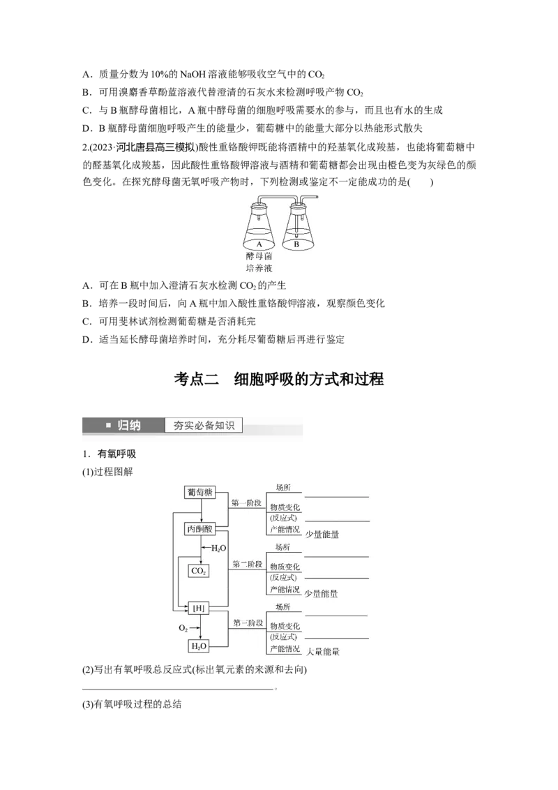 第3单元　第3课时　细胞呼吸的方式和过程_2024年新高考资料_1.2024一轮复习_2024年高考生物一轮复习讲义（新人教版）_学生版在此文件夹_大一轮复习讲义_第三单元　细胞的能量供应和利用