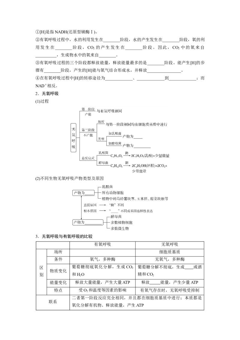 第3单元　第3课时　细胞呼吸的方式和过程_2024年新高考资料_1.2024一轮复习_2024年高考生物一轮复习讲义（新人教版）_学生版在此文件夹_大一轮复习讲义_第三单元　细胞的能量供应和利用
