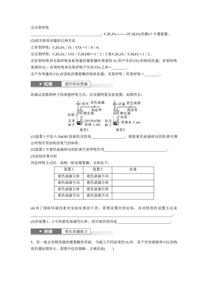 第3单元　第3课时　细胞呼吸的方式和过程_2024年新高考资料_1.2024一轮复习_2024年高考生物一轮复习讲义（新人教版）_学生版在此文件夹_大一轮复习讲义_第三单元　细胞的能量供应和利用