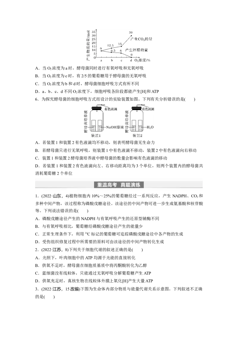 第3单元　第3课时　细胞呼吸的方式和过程_2024年新高考资料_1.2024一轮复习_2024年高考生物一轮复习讲义（新人教版）_学生版在此文件夹_大一轮复习讲义_第三单元　细胞的能量供应和利用
