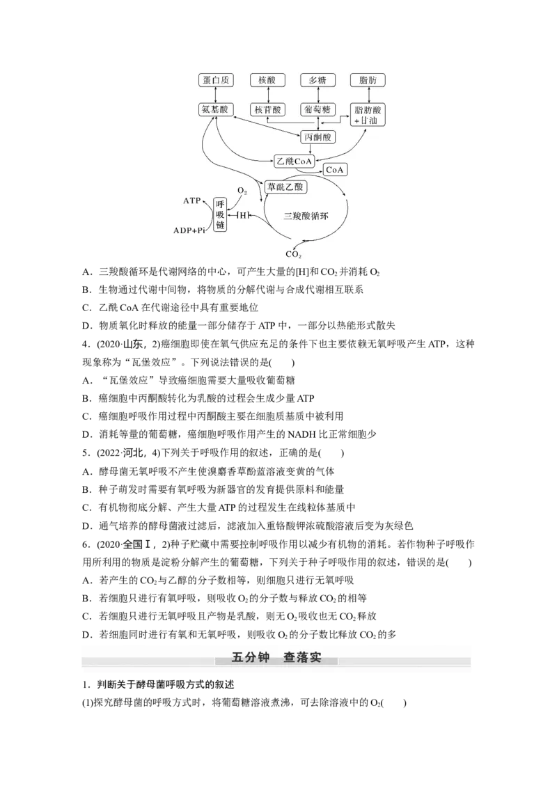 第3单元　第3课时　细胞呼吸的方式和过程_2024年新高考资料_1.2024一轮复习_2024年高考生物一轮复习讲义（新人教版）_学生版在此文件夹_大一轮复习讲义_第三单元　细胞的能量供应和利用