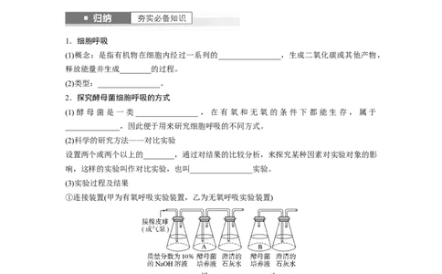 第3单元　第3课时　细胞呼吸的方式和过程_2024年新高考资料_1.2024一轮复习_2024年高考生物一轮复习讲义（新人教版）_学生版在此文件夹_大一轮复习讲义_第三单元　细胞的能量供应和利用