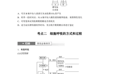 第3单元　第3课时　细胞呼吸的方式和过程_2024年新高考资料_1.2024一轮复习_2024年高考生物一轮复习讲义（新人教版）_学生版在此文件夹_大一轮复习讲义_第三单元　细胞的能量供应和利用