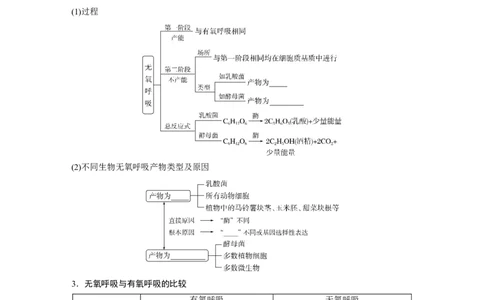 第3单元　第3课时　细胞呼吸的方式和过程_2024年新高考资料_1.2024一轮复习_2024年高考生物一轮复习讲义（新人教版）_学生版在此文件夹_大一轮复习讲义_第三单元　细胞的能量供应和利用