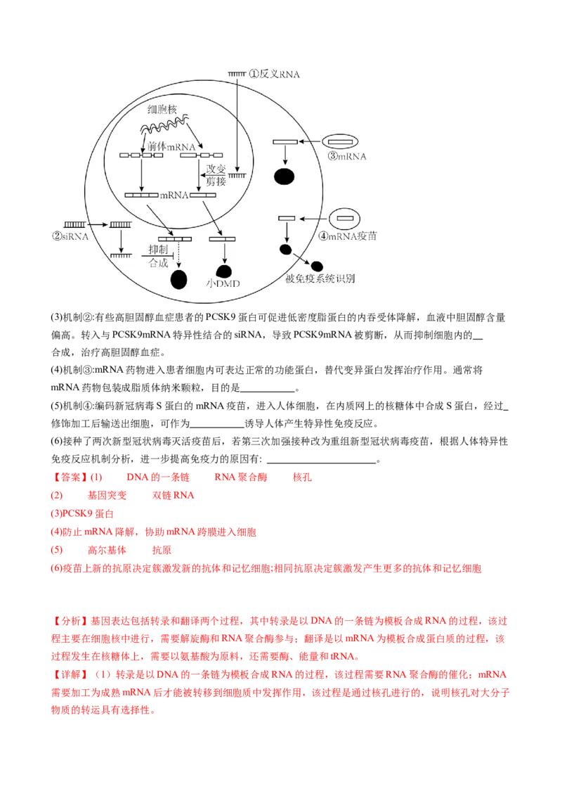 第30讲免疫失调和免疫学的应用（练习）（解析版）_2024年新高考资料_1.2024一轮复习_2024年高考生物一轮复习讲练测（新教材新高考）