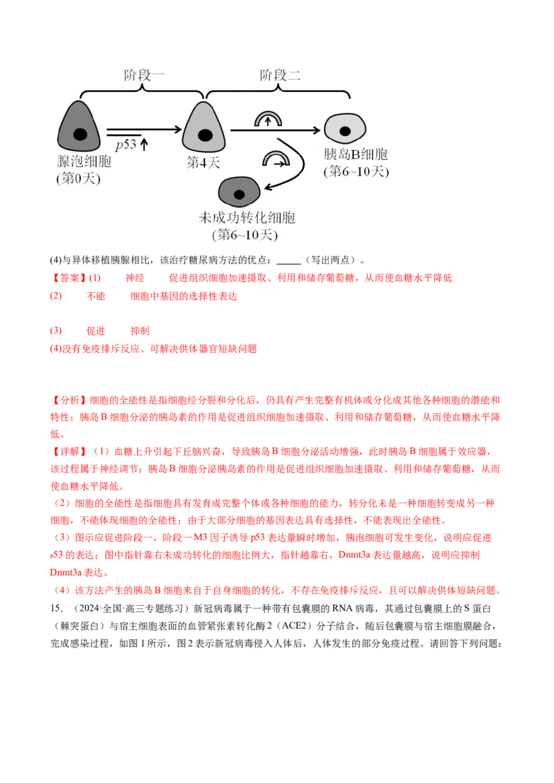 第30讲免疫失调和免疫学的应用（练习）（解析版）_2024年新高考资料_1.2024一轮复习_2024年高考生物一轮复习讲练测（新教材新高考）