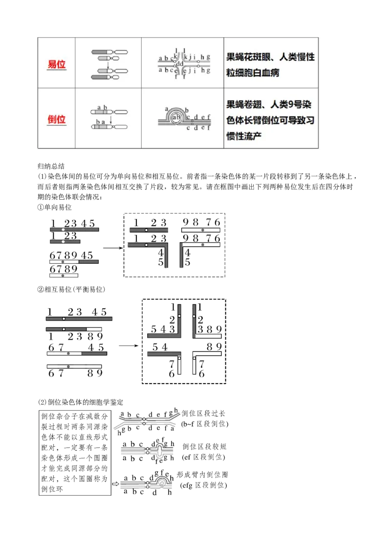 第23讲生物的变异（讲义）（学生版）_2024年新高考资料_1.2024一轮复习_2024年高考生物一轮复习讲练测（新教材新高考）