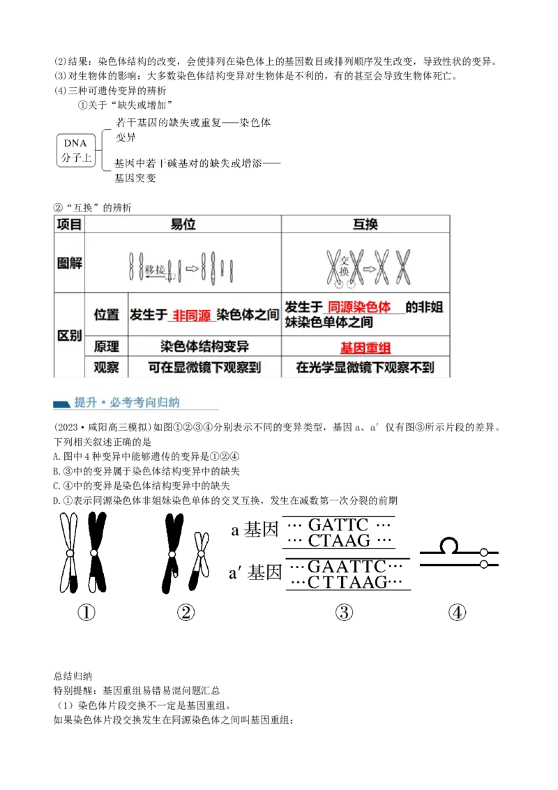 第23讲生物的变异（讲义）（学生版）_2024年新高考资料_1.2024一轮复习_2024年高考生物一轮复习讲练测（新教材新高考）