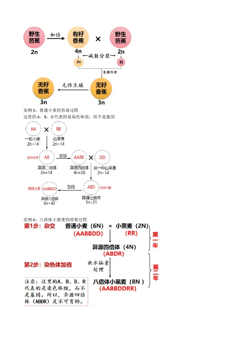 第23讲生物的变异（讲义）（学生版）_2024年新高考资料_1.2024一轮复习_2024年高考生物一轮复习讲练测（新教材新高考）