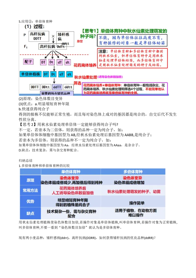 第23讲生物的变异（讲义）（学生版）_2024年新高考资料_1.2024一轮复习_2024年高考生物一轮复习讲练测（新教材新高考）