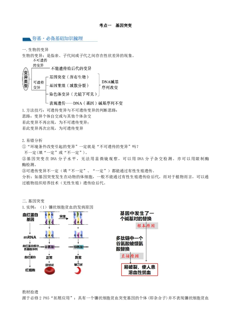 第23讲生物的变异（讲义）（学生版）_2024年新高考资料_1.2024一轮复习_2024年高考生物一轮复习讲练测（新教材新高考）