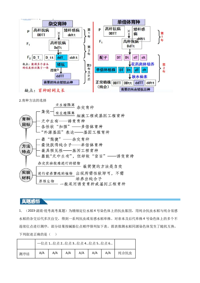 第23讲生物的变异（讲义）（学生版）_2024年新高考资料_1.2024一轮复习_2024年高考生物一轮复习讲练测（新教材新高考）