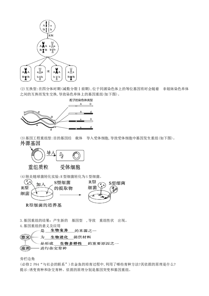 第23讲生物的变异（讲义）（学生版）_2024年新高考资料_1.2024一轮复习_2024年高考生物一轮复习讲练测（新教材新高考）