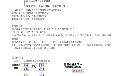第23讲生物的变异（讲义）（学生版）_2024年新高考资料_1.2024一轮复习_2024年高考生物一轮复习讲练测（新教材新高考）