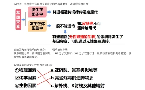 第23讲生物的变异（讲义）（学生版）_2024年新高考资料_1.2024一轮复习_2024年高考生物一轮复习讲练测（新教材新高考）