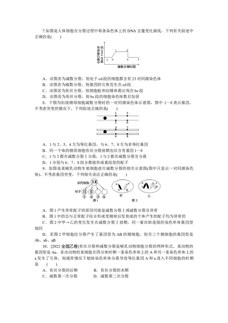 专练42　减数分裂与有丝分裂的比较_新高考复习资料_2023年新高考复习资料_专项复习_2023《微专题&middot;小练习》&middot;生物&middot;新教材&middot;XL-7