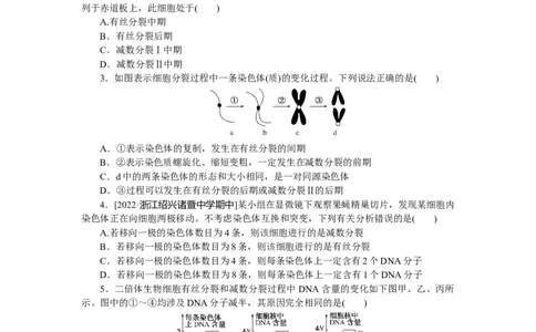 专练42　减数分裂与有丝分裂的比较_新高考复习资料_2023年新高考复习资料_专项复习_2023《微专题&middot;小练习》&middot;生物&middot;新教材&middot;XL-7