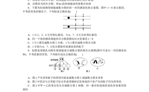 专练42　减数分裂与有丝分裂的比较_新高考复习资料_2023年新高考复习资料_专项复习_2023《微专题&middot;小练习》&middot;生物&middot;新教材&middot;XL-7