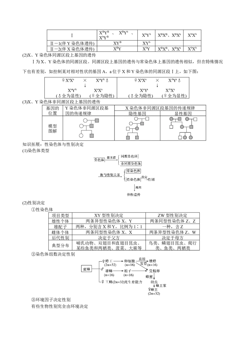 GKSW150_第15讲伴性遗传、人类遗传病-备战2022年高考生物一轮复习精品讲义（人教版）(原卷版)_新高考复习资料_2022年新高考复习资料_备战2022新高考生物一轮复习精品讲义（人教版）