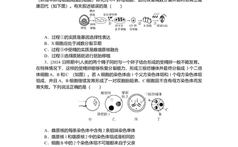 2025届高中生物学一轮复习检测案42　胚胎工程（含解析）_2025年新高考资料_一轮复习_2025届高中生物学一轮复习分层复习检测(含解析)