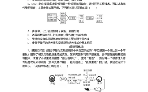 2025届高中生物学一轮复习检测案42　胚胎工程（含解析）_2025年新高考资料_一轮复习_2025届高中生物学一轮复习分层复习检测(含解析)