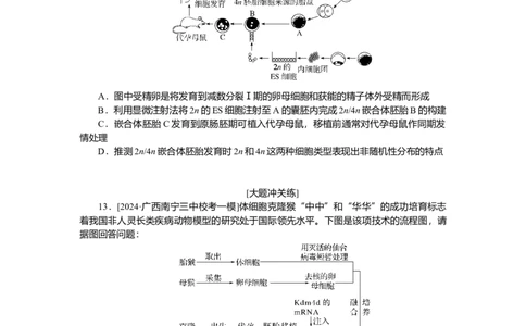 2025届高中生物学一轮复习检测案42　胚胎工程（含解析）_2025年新高考资料_一轮复习_2025届高中生物学一轮复习分层复习检测(含解析)