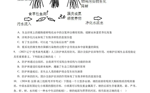 第37讲人与环境、生态工程（练习）（原卷版）_2024年新高考资料_1.2024一轮复习_2024年高考生物一轮复习讲练测（新教材新高考）