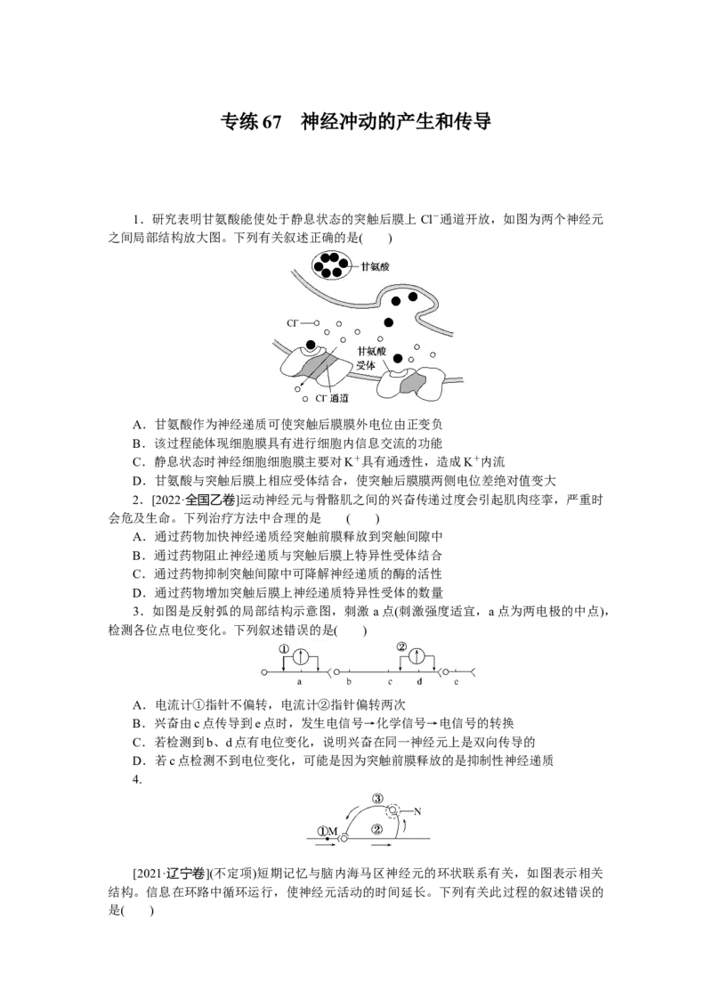 专练67　神经冲动的产生和传导_新高考复习资料_2023年新高考复习资料_专项复习_2023《微专题&middot;小练习》&middot;生物&middot;新教材&middot;XL-7