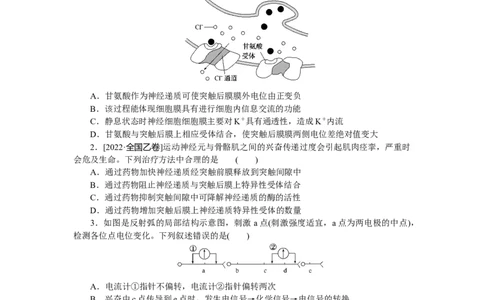 专练67　神经冲动的产生和传导_新高考复习资料_2023年新高考复习资料_专项复习_2023《微专题&middot;小练习》&middot;生物&middot;新教材&middot;XL-7
