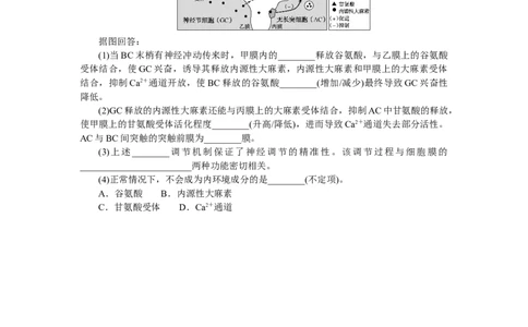 专练67　神经冲动的产生和传导_新高考复习资料_2023年新高考复习资料_专项复习_2023《微专题&middot;小练习》&middot;生物&middot;新教材&middot;XL-7