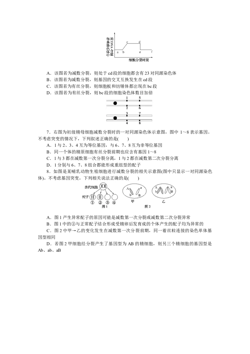专练37　减数分裂与有丝分裂的比较_通用版（老高考）复习资料_2023年复习资料_专项复习_2023《微专题&middot;小练习》&middot;生物