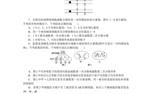 专练37　减数分裂与有丝分裂的比较_通用版（老高考）复习资料_2023年复习资料_专项复习_2023《微专题&middot;小练习》&middot;生物