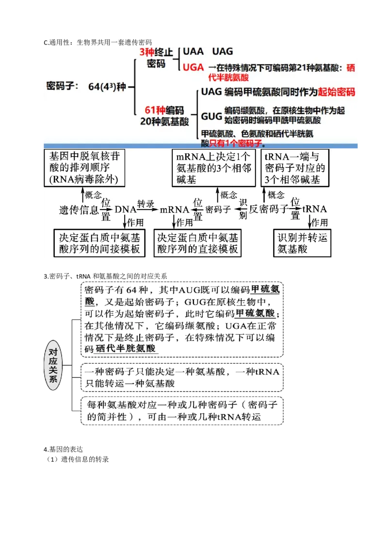 第22讲基因的表达、基因与性状的关系（讲义）（学生版）_2024年新高考资料_1.2024一轮复习_2024年高考生物一轮复习讲练测（新教材新高考）