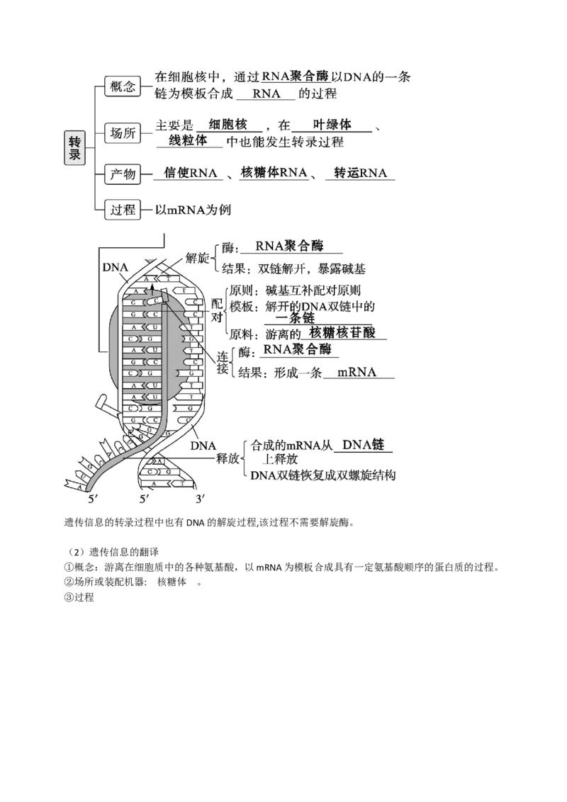 第22讲基因的表达、基因与性状的关系（讲义）（学生版）_2024年新高考资料_1.2024一轮复习_2024年高考生物一轮复习讲练测（新教材新高考）