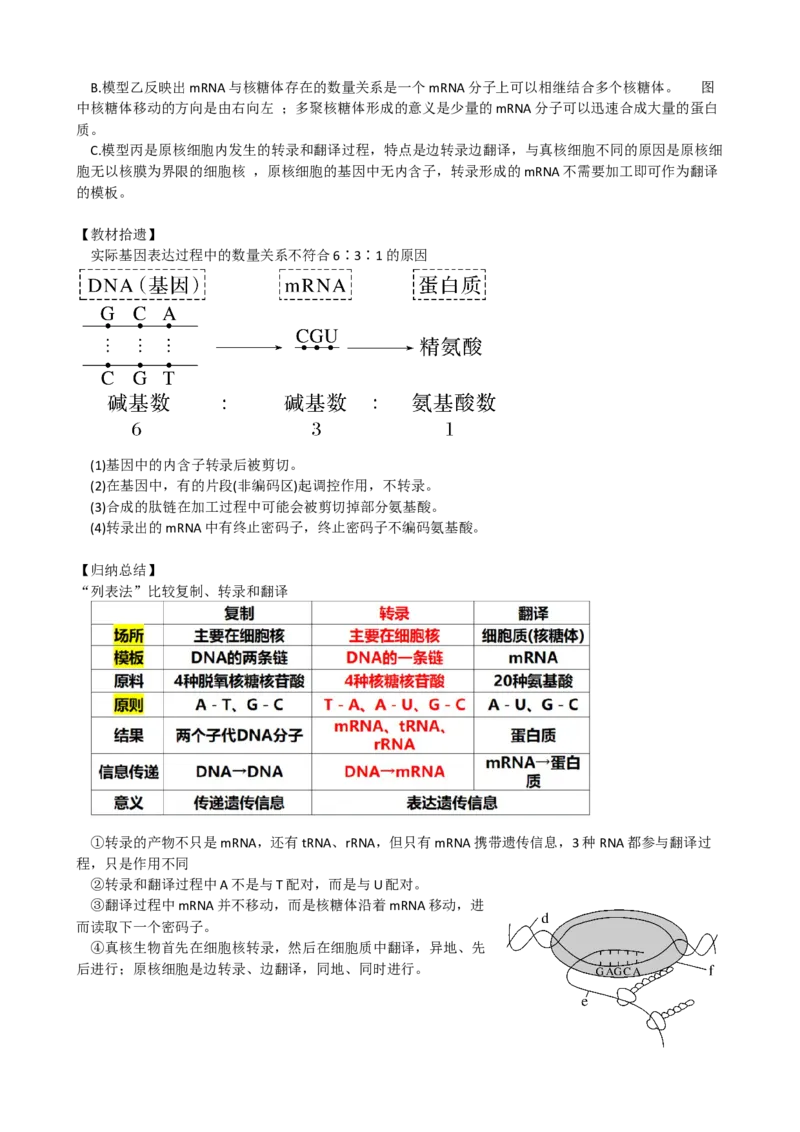 第22讲基因的表达、基因与性状的关系（讲义）（学生版）_2024年新高考资料_1.2024一轮复习_2024年高考生物一轮复习讲练测（新教材新高考）