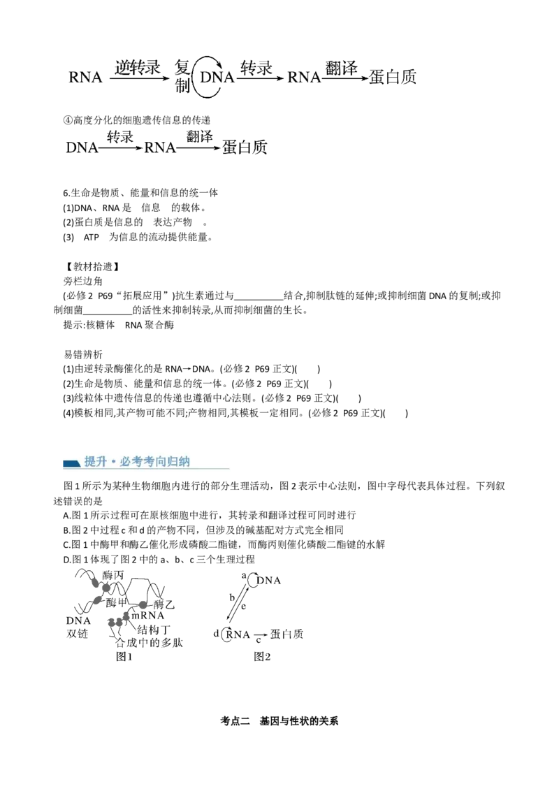 第22讲基因的表达、基因与性状的关系（讲义）（学生版）_2024年新高考资料_1.2024一轮复习_2024年高考生物一轮复习讲练测（新教材新高考）