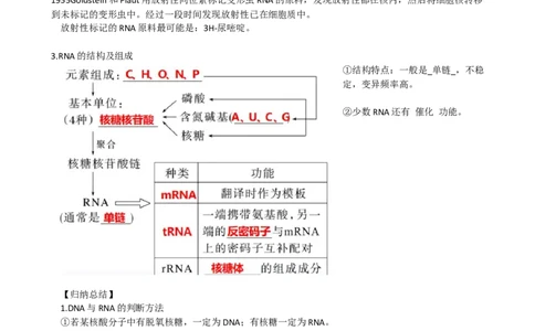 第22讲基因的表达、基因与性状的关系（讲义）（学生版）_2024年新高考资料_1.2024一轮复习_2024年高考生物一轮复习讲练测（新教材新高考）