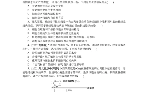 专练34　细胞的衰老和死亡_新高考复习资料_2023年新高考复习资料_专项复习_2023《微专题&middot;小练习》&middot;生物&middot;新教材&middot;XL-7