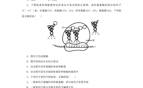 2023版新教材高考生物微专题小练习专练50基因指导蛋白质的合成202208091218_通用版（老高考）复习资料_2023年复习资料_一轮复习_2023届高考生物一轮微专题100练