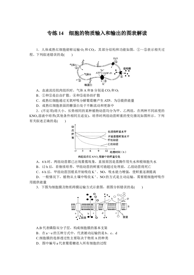 专练14　细胞的物质输入和输出的图表解读_新高考复习资料_2023年新高考复习资料_专项复习_2023《微专题&middot;小练习》&middot;生物&middot;新教材&middot;XL-7