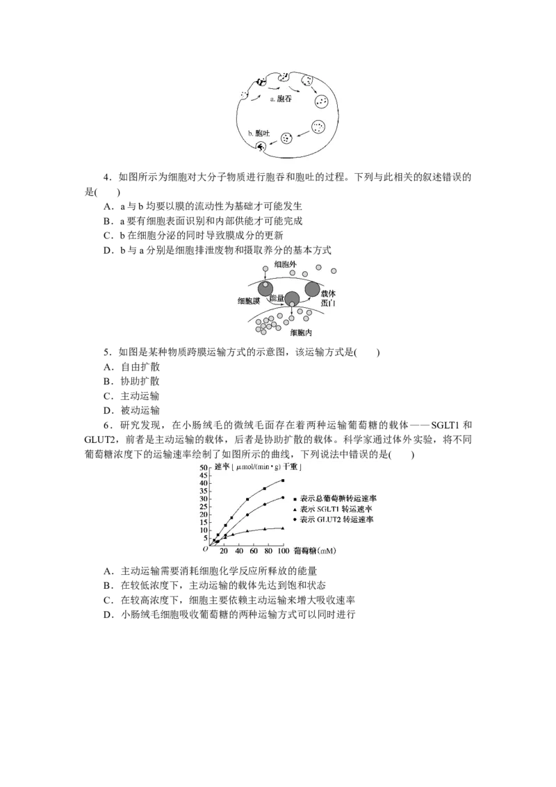 专练14　细胞的物质输入和输出的图表解读_新高考复习资料_2023年新高考复习资料_专项复习_2023《微专题&middot;小练习》&middot;生物&middot;新教材&middot;XL-7