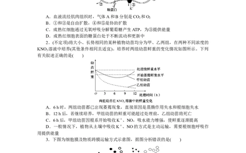 专练14　细胞的物质输入和输出的图表解读_新高考复习资料_2023年新高考复习资料_专项复习_2023《微专题&middot;小练习》&middot;生物&middot;新教材&middot;XL-7