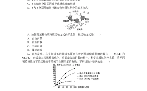 专练14　细胞的物质输入和输出的图表解读_新高考复习资料_2023年新高考复习资料_专项复习_2023《微专题&middot;小练习》&middot;生物&middot;新教材&middot;XL-7