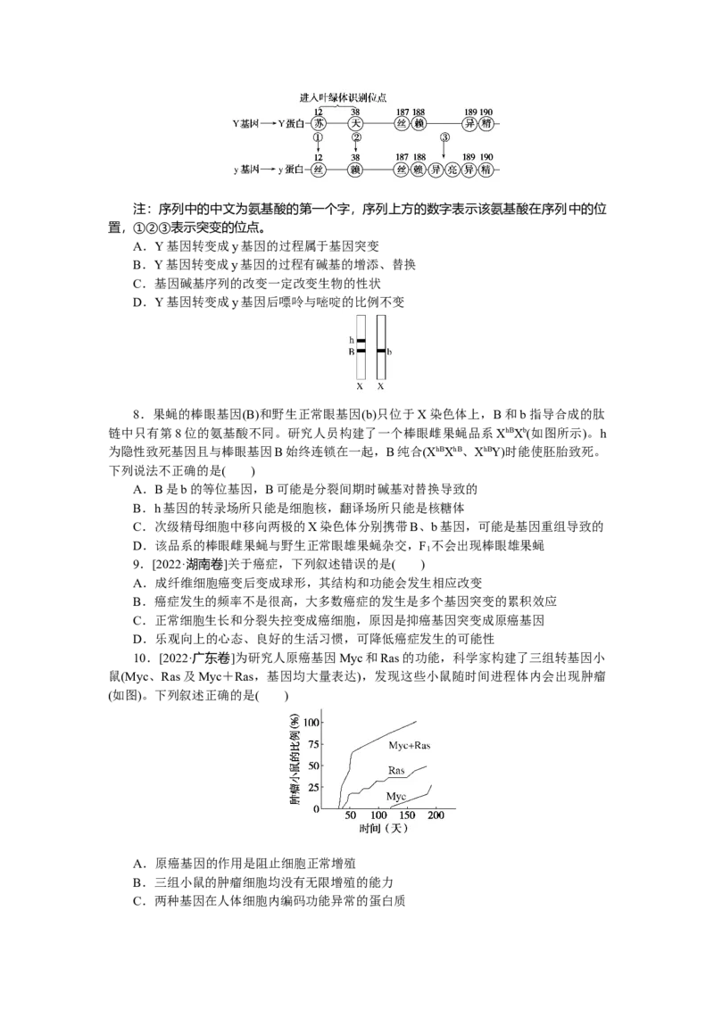 专练53　基因突变和基因重组_新高考复习资料_2023年新高考复习资料_专项复习_2023《微专题&middot;小练习》&middot;生物&middot;新教材&middot;XL-7