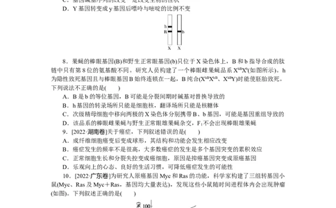 专练53　基因突变和基因重组_新高考复习资料_2023年新高考复习资料_专项复习_2023《微专题&middot;小练习》&middot;生物&middot;新教材&middot;XL-7