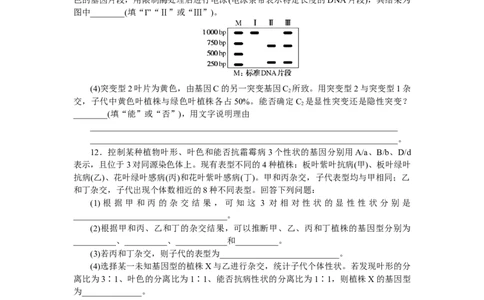 专练53　基因突变和基因重组_新高考复习资料_2023年新高考复习资料_专项复习_2023《微专题&middot;小练习》&middot;生物&middot;新教材&middot;XL-7