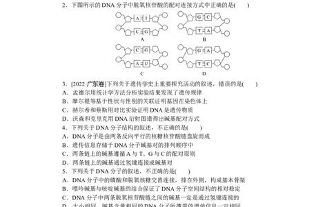专练47　DNA的结构及计算_新高考复习资料_2023年新高考复习资料_专项复习_2023《微专题&middot;小练习》&middot;生物&middot;新教材&middot;XL-7