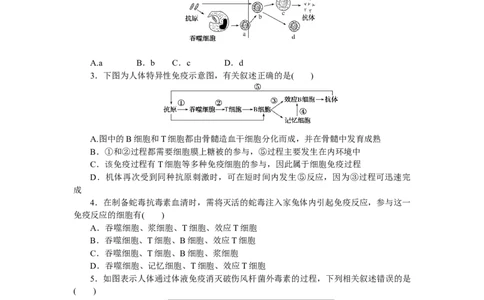 专练65　免疫调节(体液免疫)_通用版（老高考）复习资料_2023年复习资料_专项复习_2023《微专题&middot;小练习》&middot;生物